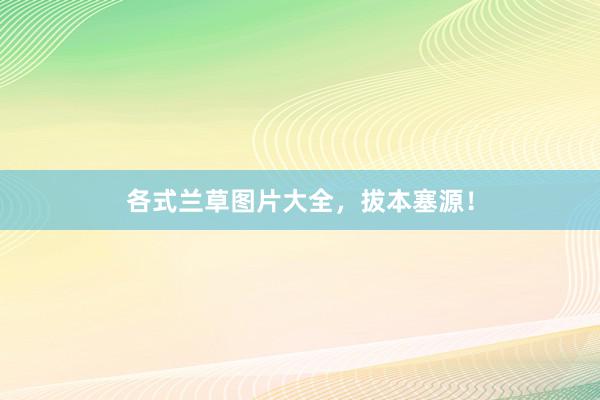各式兰草图片大全，拔本塞源！