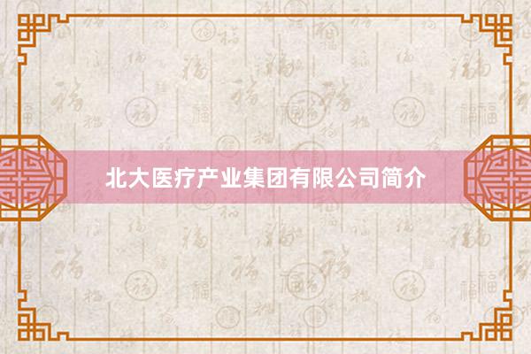 北大医疗产业集团有限公司简介
