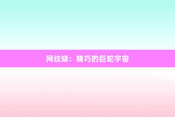 网纹蟒：精巧的巨蛇宇宙